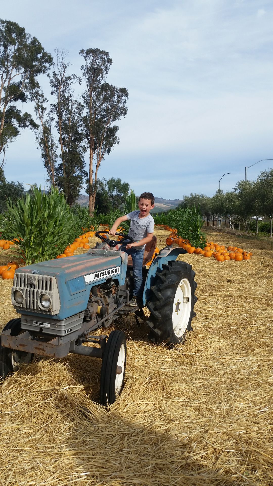 Picking Pumpkins 2015